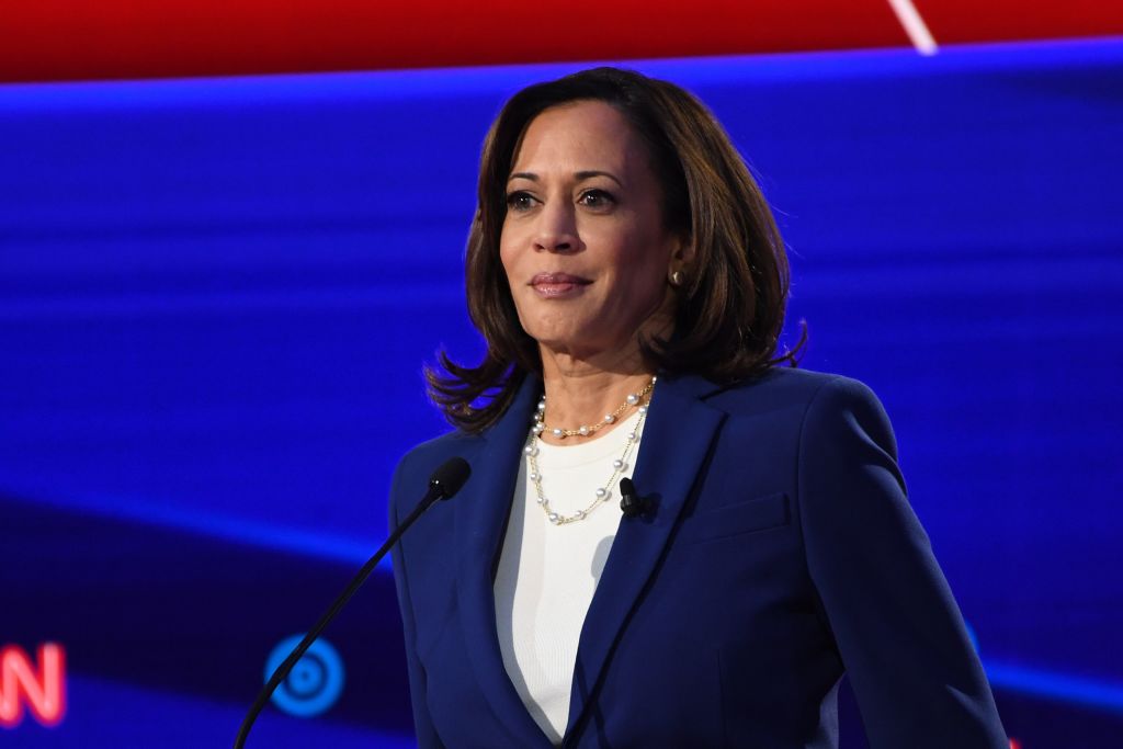 US-POLITICS-VOTE-DEMOCRATS-BIDEN-HARRIS