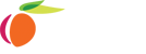 Georgia USA logo